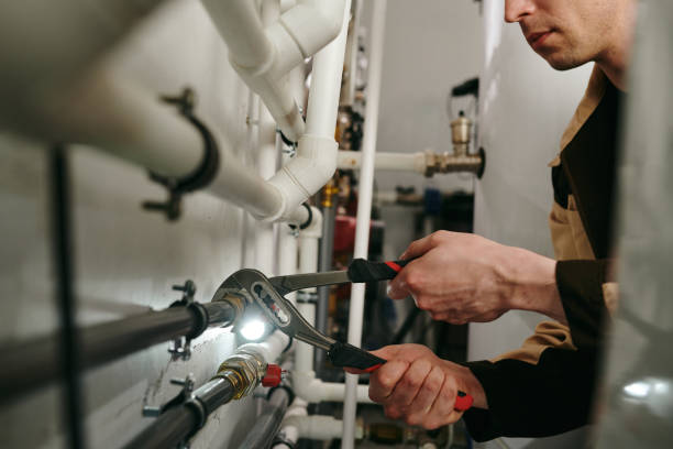 Best Clogged Drain Plumber  in Argos, IN